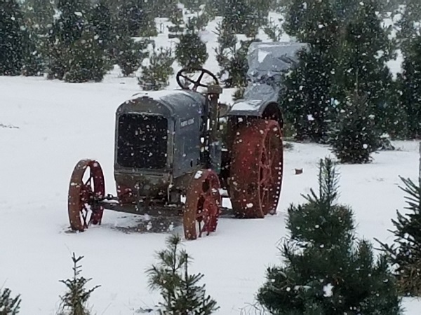 tractor kleerview farms christmas trees