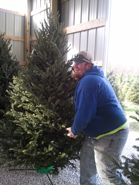 kleerview farm christmas tree