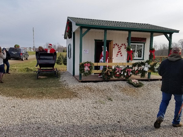 kleerview farm christmas trees office