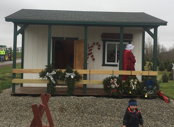 kleerview farm christmas trees office