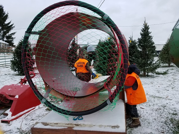 christmas tree netter kleerview farms trees