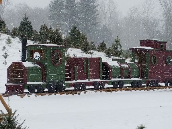 kleerview farms christmas trees train