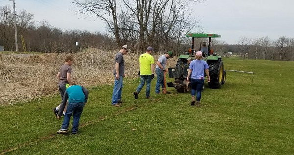 kleerview farm christmas tree planting