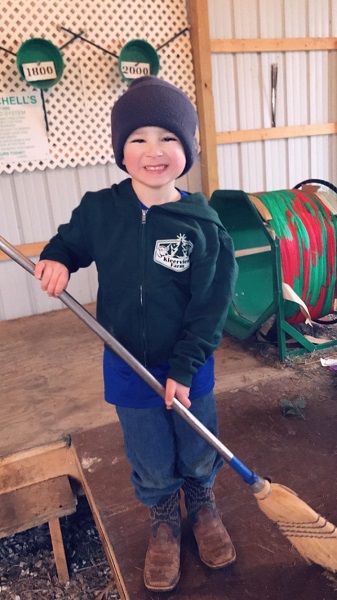 kleerview farm christmas trees