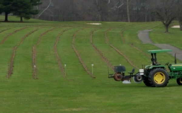 kleerview farm christmas planting