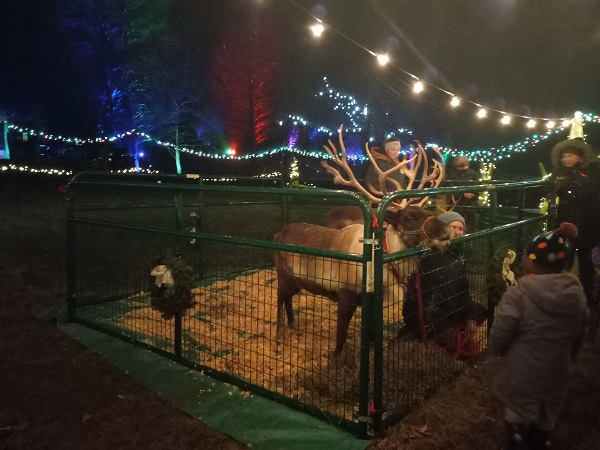 reindeer display
                  kleerview farm