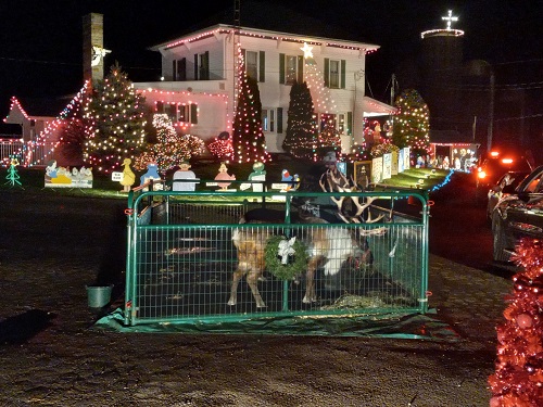 reindeer rental display kleerview farm