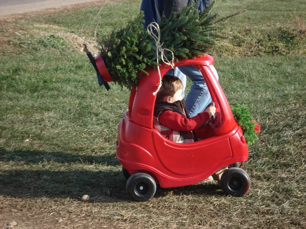 christmas tree customer