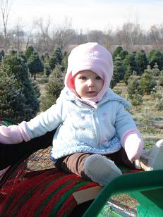 kleerview christmas trees