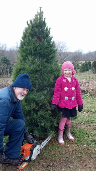 kleerview farm christmas tree