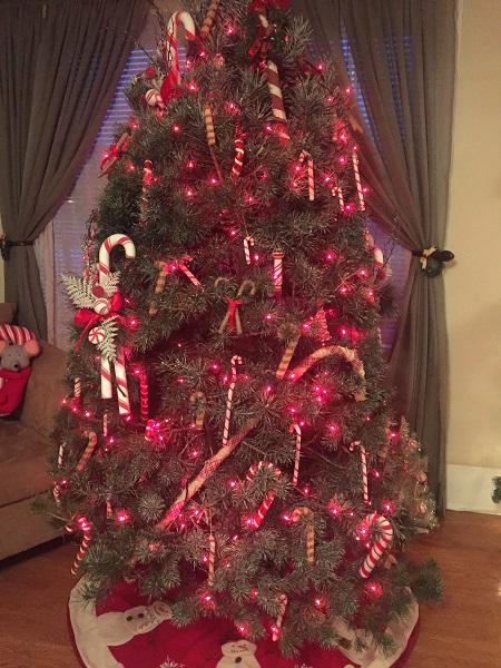 kleerview farm christmas house