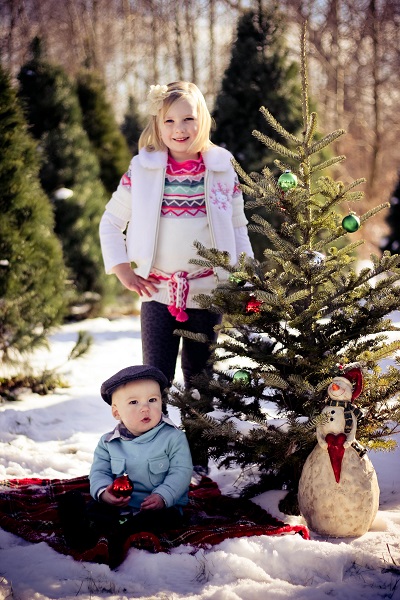 kleerview farm christmas trees 2013