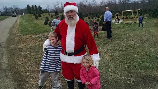 kleerview farm christmas trees