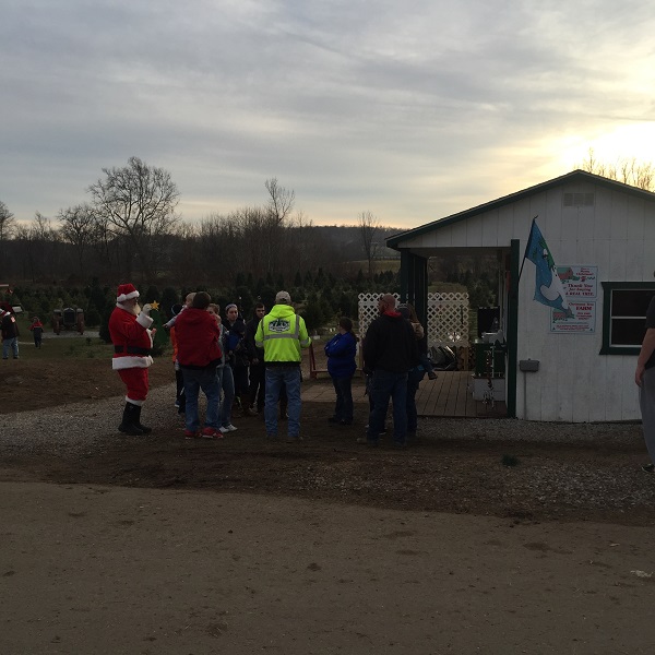 kleerview farm christmas trees