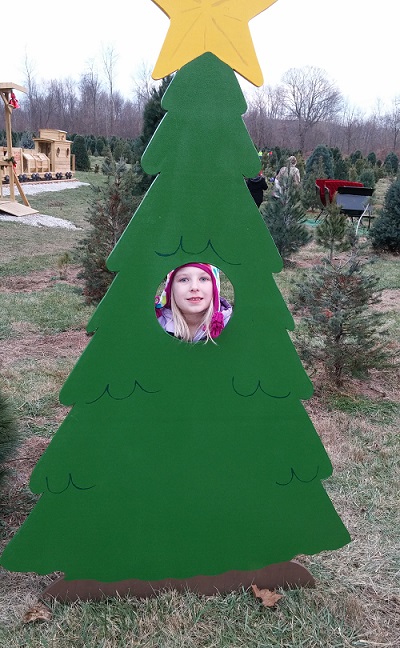 kleerview farm tree cutout photo