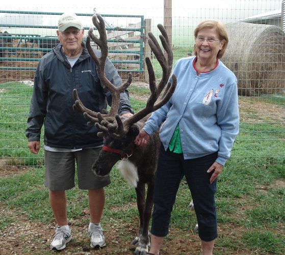 reindeer ohio kleerview
                christmas